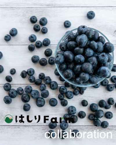 はしりFarm